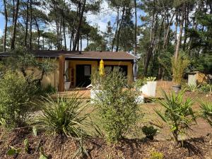 a small house in the middle of a garden at Euronat naturist studio in Grayan-et-lʼHôpital