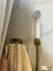 a room with a shower with curtains and a heater at Golden Rooms Exklusiv in Völkermarkt +38 photos