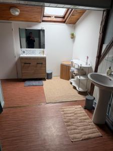 a bathroom with a sink and a mirror at Gîte du petit niglo in Droyes