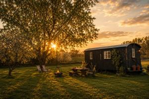 a cabin in a field with a picnic table and a tree at Mountbatten Shepherds hut & Buckhurst Shepherds hut in Ashford