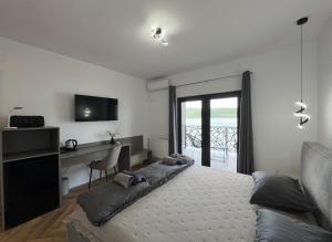 a bedroom with a bed and a desk and a television at Pensiunea EUPHORIA in Sviniţa