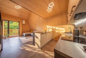 a kitchen and living room in a house at Muhu Apartments in Velké Hamry