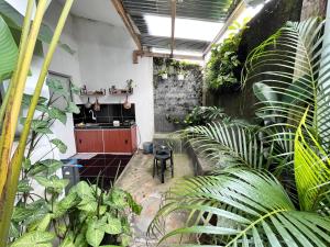 a room filled with lots of plants and a kitchen at SleepOver BDI2 in Wonosobo