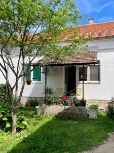 a white house with a porch and a tree at Gorica in Negotin
