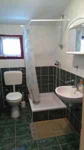 uma casa de banho com um WC e um lavatório em Apartment Rogić em Biograd na Moru