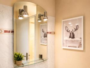 a bathroom with a mirror with a deer on the wall at Grand Studio Tout Confort pour 3 personnes Linge en option in Barcelonnette
