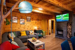 a living room with a couch and a tv at Lika View house in Gospić