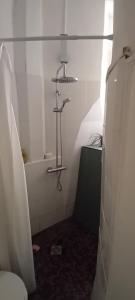 a small bathroom with a shower and a toilet at Studio hyper centre Angers in Angers