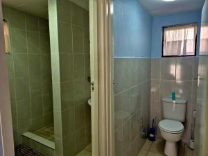 a bathroom with a toilet and a shower at Danrit Guesthouse - Uncapped wifi in Roodepoort +34 photos