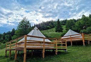 two tents in a field with trees in the background at Chill Glamping in Corbu