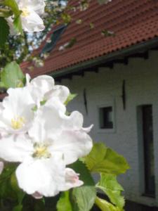 Fotografie z fotogalerie ubytování La Ferme Blanche, The Originals Relais v destinaci Lompret