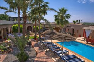 a resort with a swimming pool with lounge chairs and palm trees at Kasbah Beldy Chic Marrakech, heated pool, spa in Marrakesh