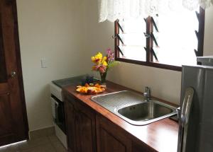 um balcão de cozinha com um lavatório e um vaso de flores em Santo Seaside Villas em Luganville