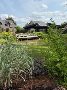 a house with a pond in a yard with plants at Retreat 1 in Beccles