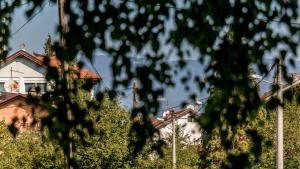 Příroda nedaleko apartmánu