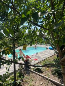 a group of people playing in a swimming pool at Nyúlászó Vendégház Stúdiólakás in Mád