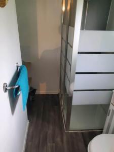 a bathroom with a toilet and a blue towel at Chalets du Causse 4 in Gelle +13 photos