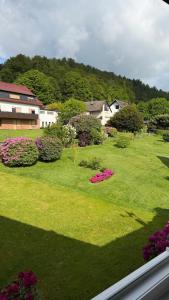 a view of a yard with flowers and houses at Gästehaus Götz in Reinhardshagen