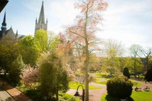 a view of a park with a cathedral in the background at Queen Astrid in Ypres