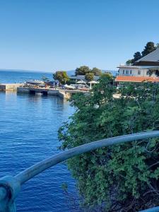 a view of a body of water with a pier at Villa Marija in Opatija