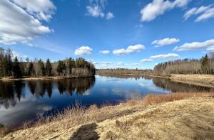 a view of a river with trees and clouds in the sky at SwedenWoods in Hagfors