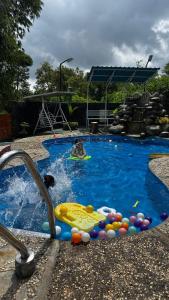 a swimming pool with a dog and balls in it at The Ci Dwi resort in Cicadas