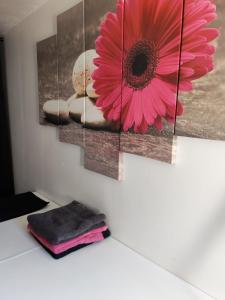 a pink flower on a wall with a towel at Maison de campagne in Aubagne +2 photos