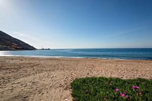 a beach with flowers in the sand and the ocean at Fodele Beachfront Apts in Fodele