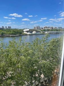a view of a river with a city in the background at RentHouse Samal in Astana