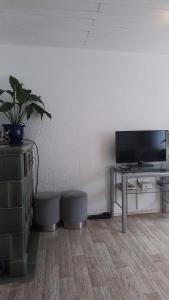 a living room with a tv and a table with a potted plant at Ferienwohnung Volskyy in Trier