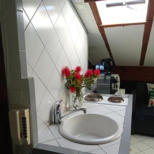 a bathroom with a sink with red flowers in a vase at Studio atypique de charme in Cannes