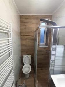 a small bathroom with a toilet and a shower at Pierres Blanches Center in Mytilene