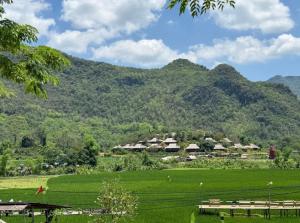 a green field with houses and mountains in the background at Mai Chau Mountain Delight in Mai Châu