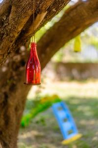 a red bottle hanging from the side of a tree at Emerald Cove in Kanali