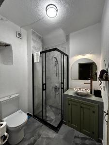 a bathroom with a shower and a toilet and a sink at Chori Avlu Küçükköy in Ayvalık +24 photos