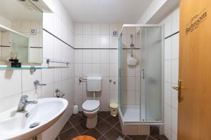 a bathroom with a toilet and a sink and a shower at Villa Zubčić in Zadar +130 photos