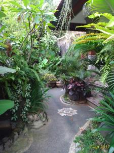 a garden with a bunch of plants and trees at Praety Home Stay in Ubud