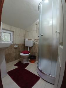 a bathroom with a shower and a toilet and a sink at Cabana La Marian in Munună