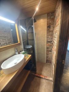 a bathroom with a sink and a shower at Hubane korter järve kaldal in Värska