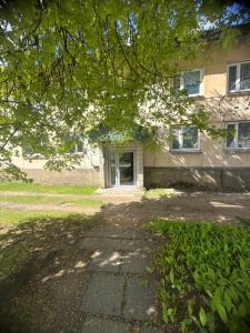 a building with a tree in front of it at Hubane korter järve kaldal in Värska