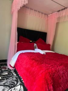 a bedroom with a red bed with a red blanket at Sylvan hotel in Kasangati +4 photos