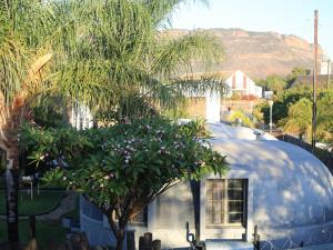a dome house with a tree in front of it at Klawer Hotel in Klawer