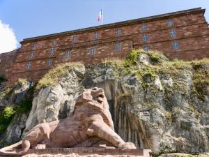 a statue of a lion in front of a building at La Suite Enchantée in Valentigney