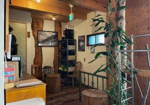 a room with a plant in the corner of a room at SappoLodge in Sapporo