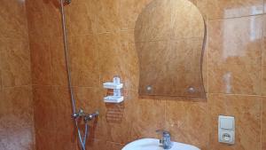 a bathroom with a shower with a sink and a mirror at Eco Cottage Rose in Borjomi