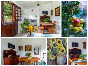 a collage of pictures of a kitchen and a living room at Disselblom Cottage in Sedgefield