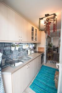 Kuchyň nebo kuchyňský kout v ubytování Apartment Corinth