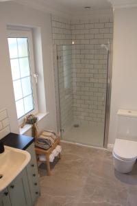 a bathroom with a shower with a toilet and a sink at Sundaywell Cottage in Killyleagh
