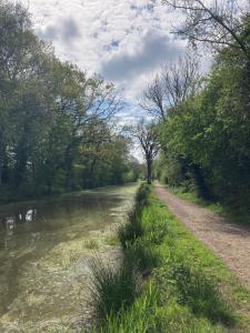a dirt road next to a river with trees at Hillcroft Holiday - Dragonfly Lodge, Woody Hut & Alpaca My Tipi Glamping in Billingshurst