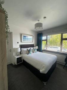 a bedroom with a large bed and a window at Robin Hill Bed and Breakfast in Curracloe